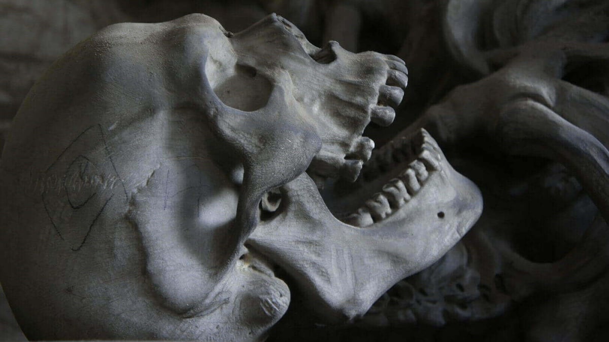 cold case murder skull