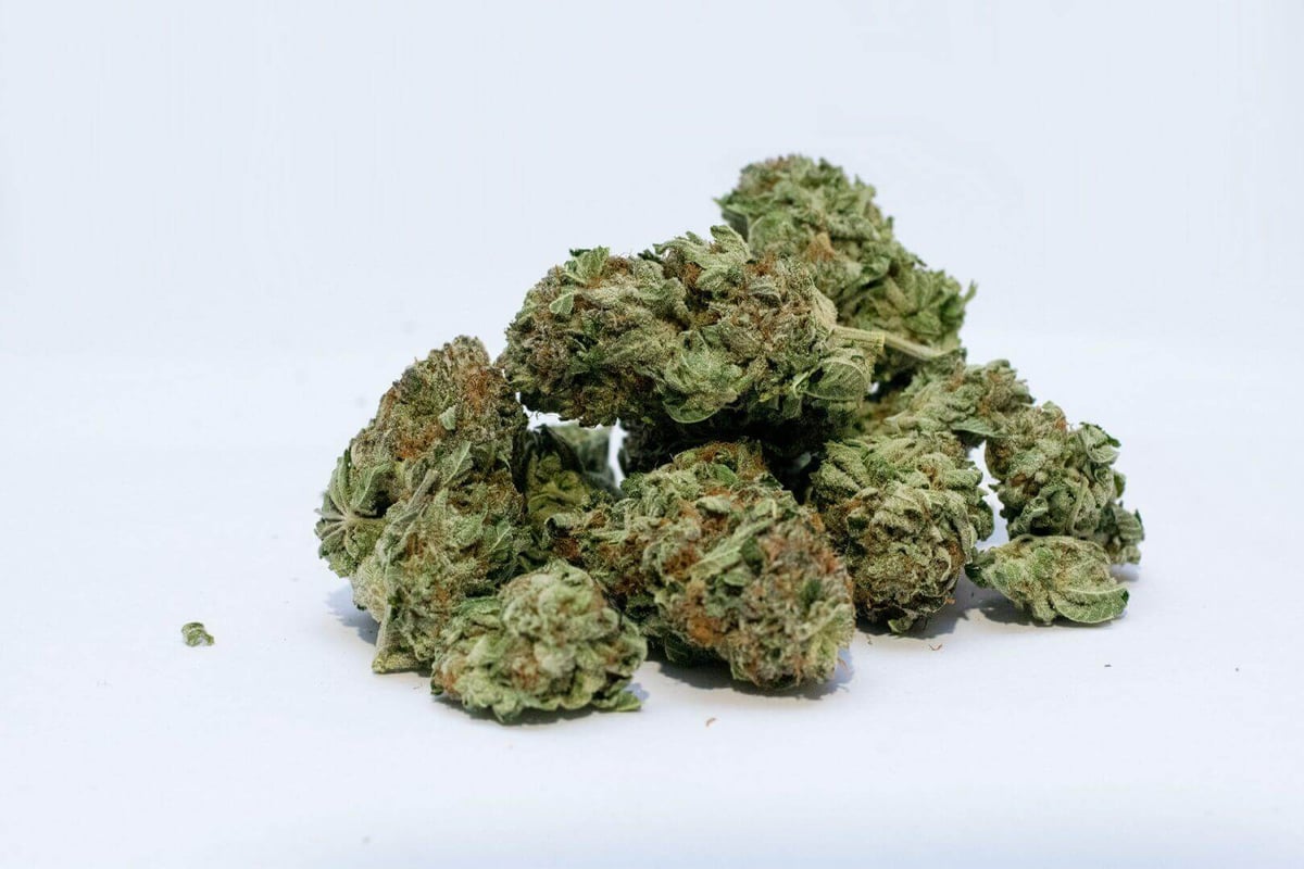 (Source: <a href="https://thaplug.co/blogs/news/marijuana-photoshoot" target="_blank" srcset=