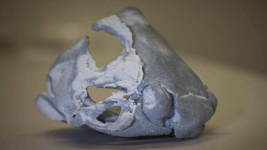400-million-year-old fish