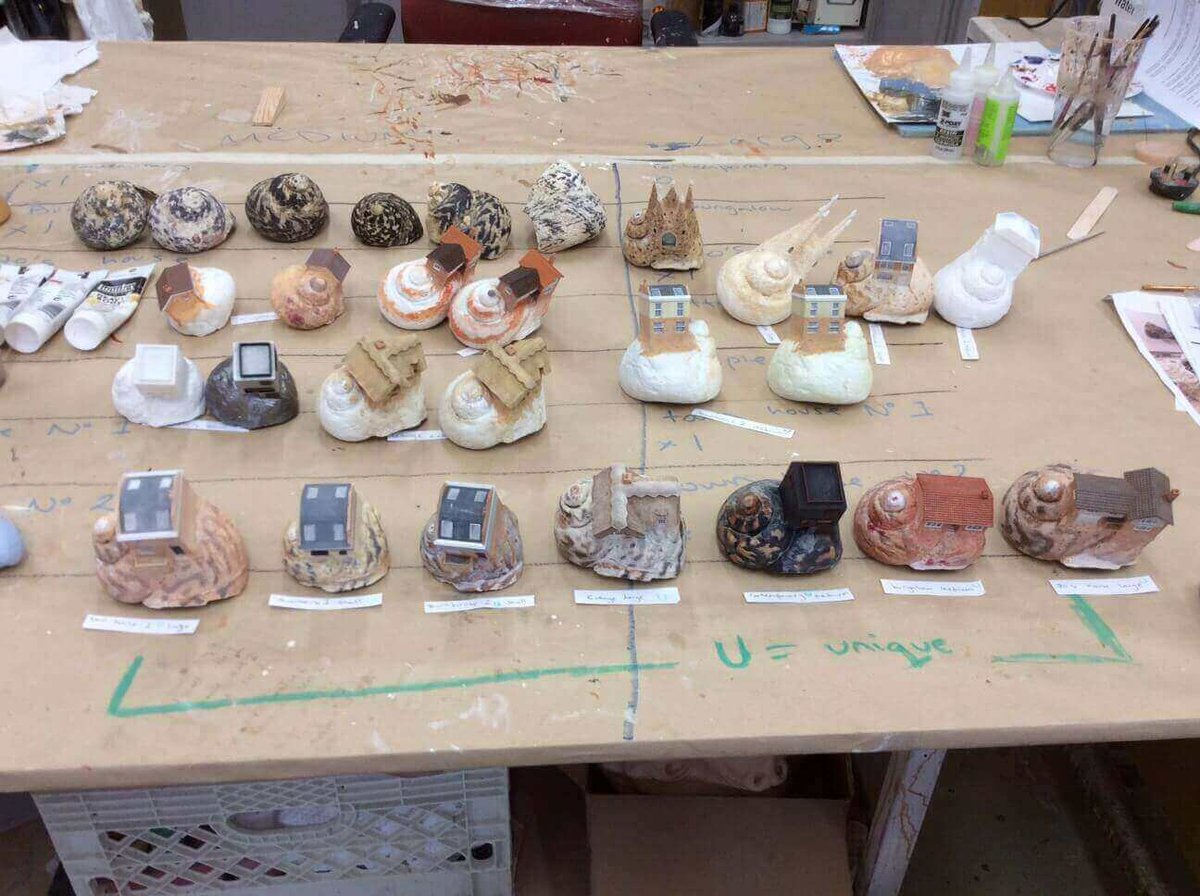 hermit crabs