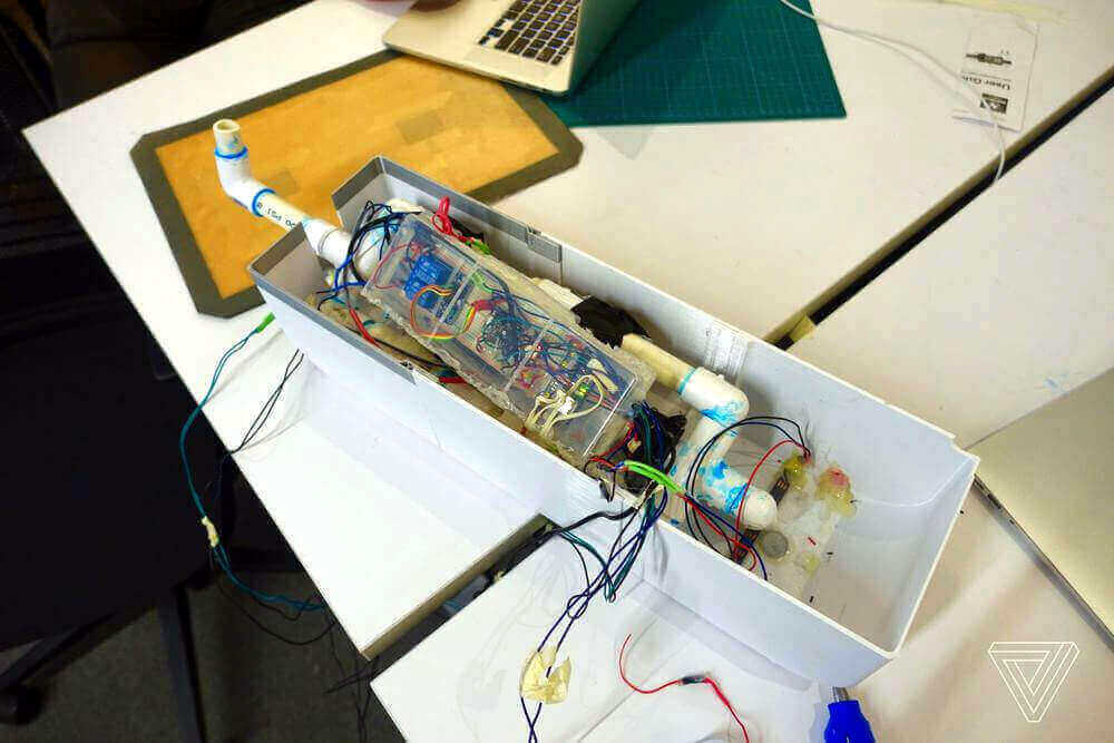 apple summer camp