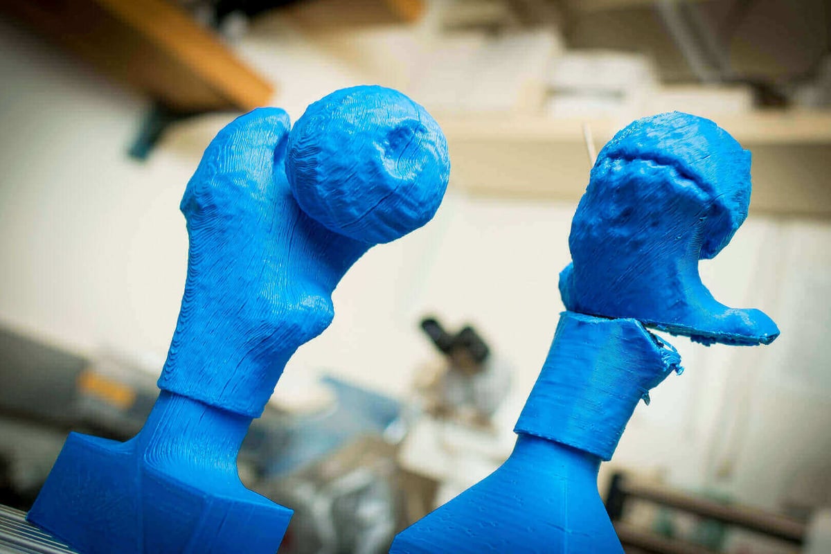 3d printed femurs