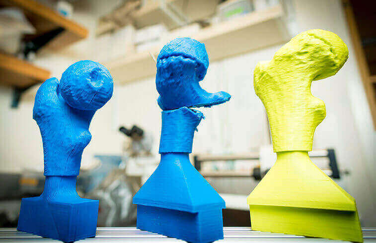 3D printed femurs