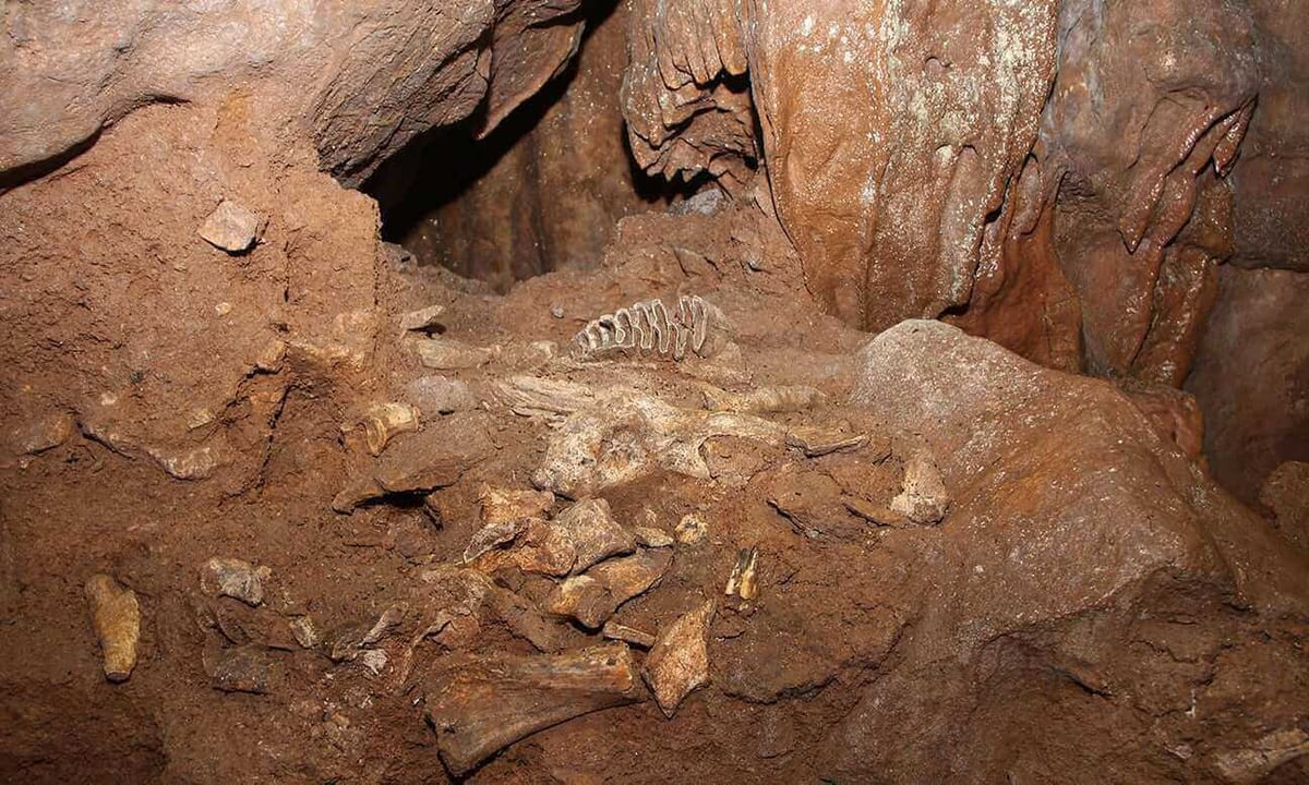joint mitnor cave