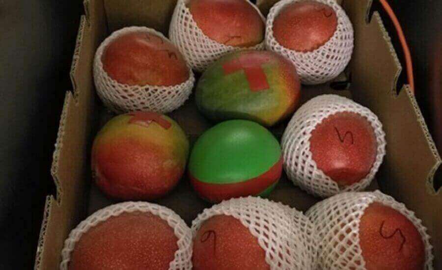 3d printed apple