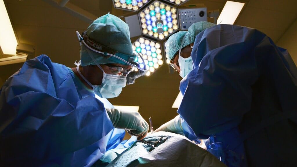 3D Printed Heart Valves Could Reduce PVL