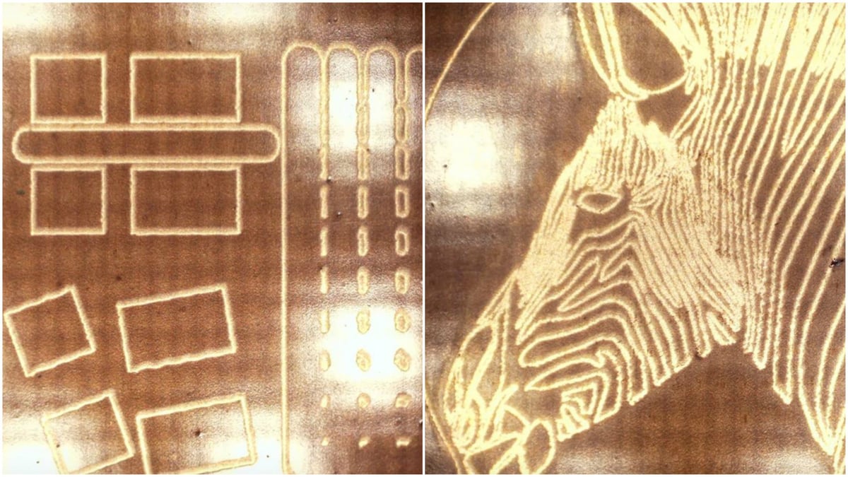 Trace results: SMT footprints and an "absolutely gorgeous" zebra
