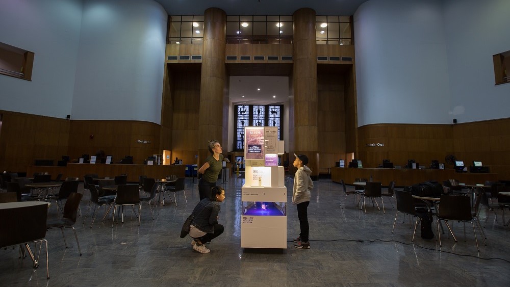 The mollusk museum on display