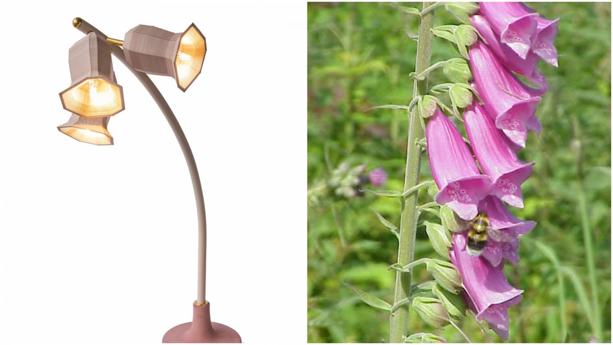 Van Eijk's lampshades attempt to mimic the digitalis plant