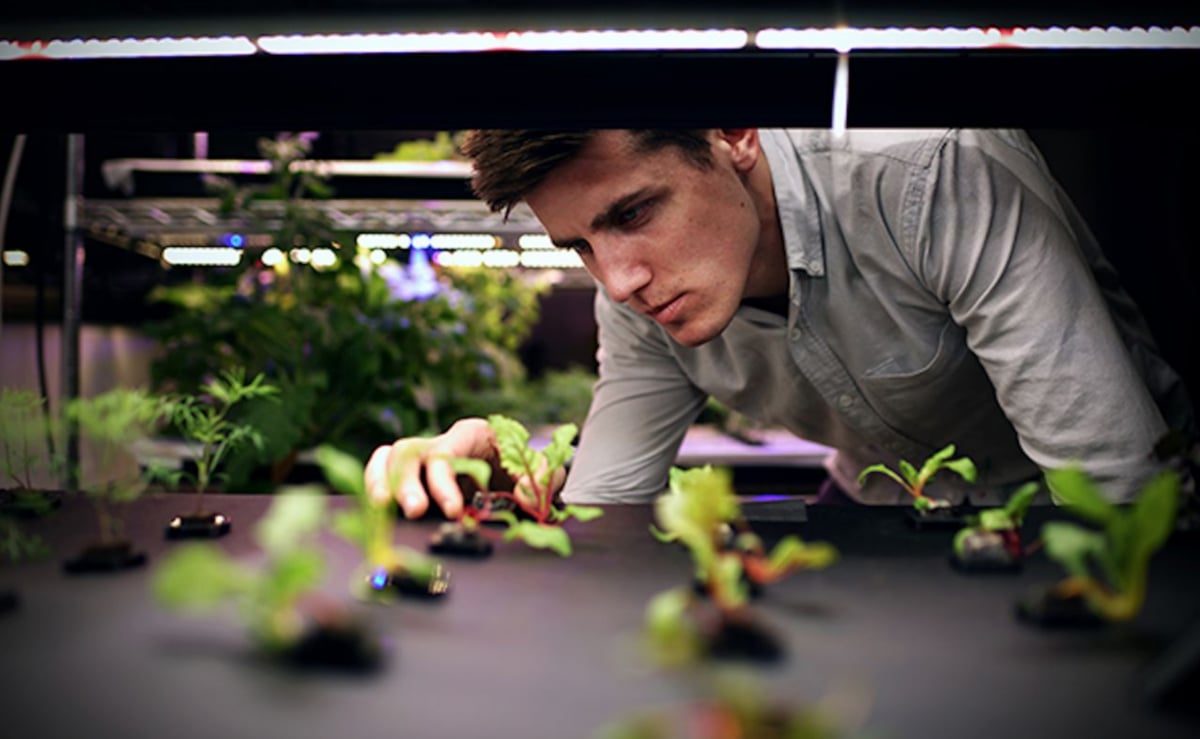 3d printed urban farming