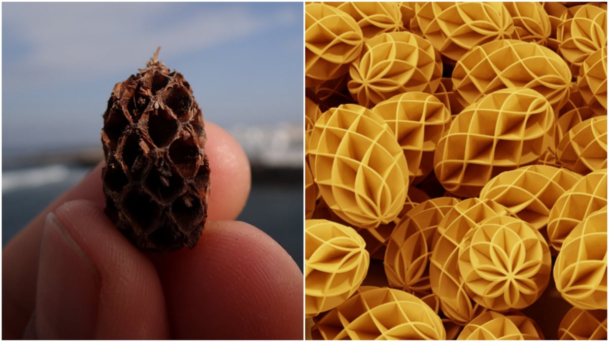 Pignabarilla took third place in the 3D printed pasta competition