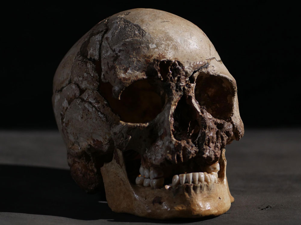 cheddar man