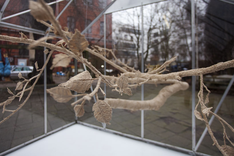 portrait of a birch