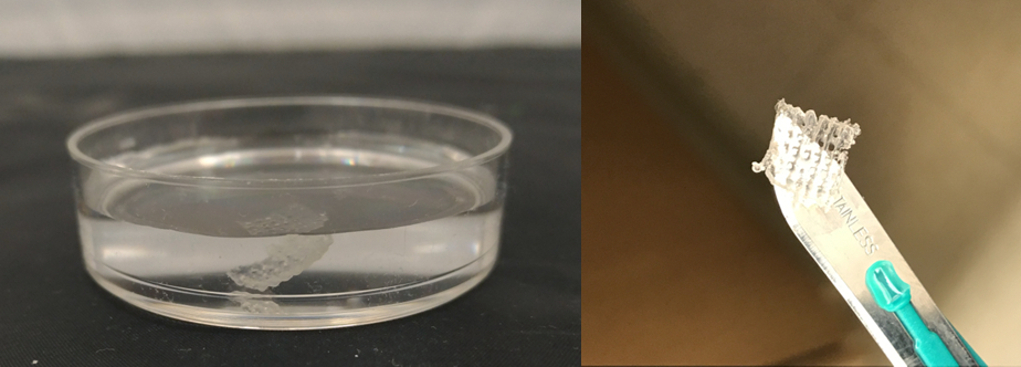 printable body tissue