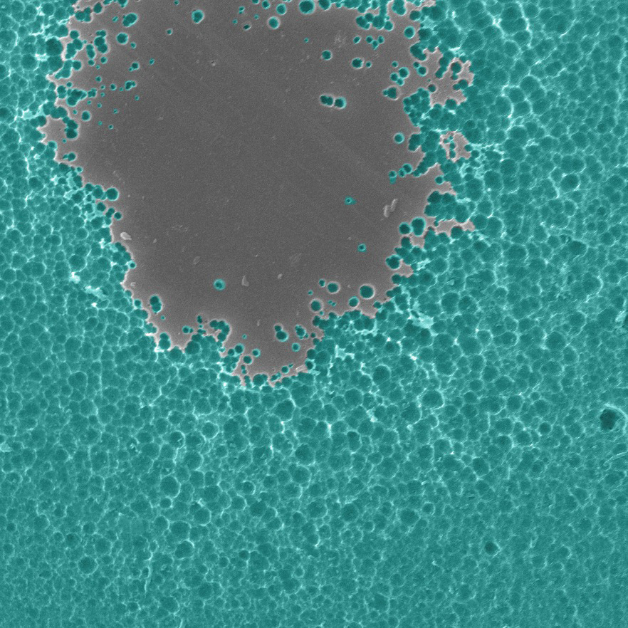 mutant enzyme