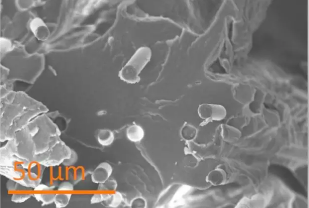 Lignin Composite