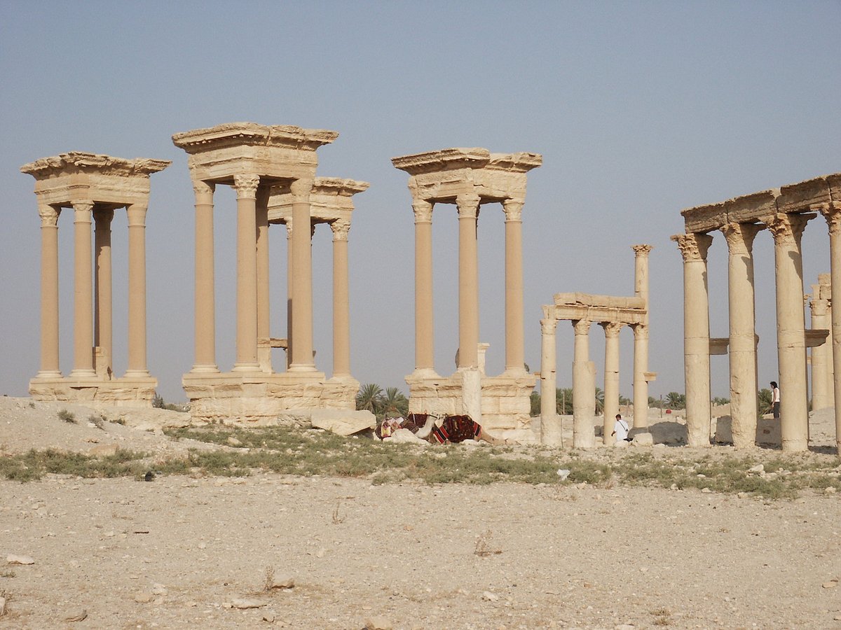 #NEWPALMYRA