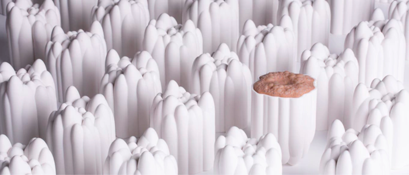 Chocolates for the Digital Age