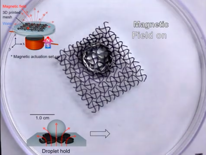 3D printed mesh structures