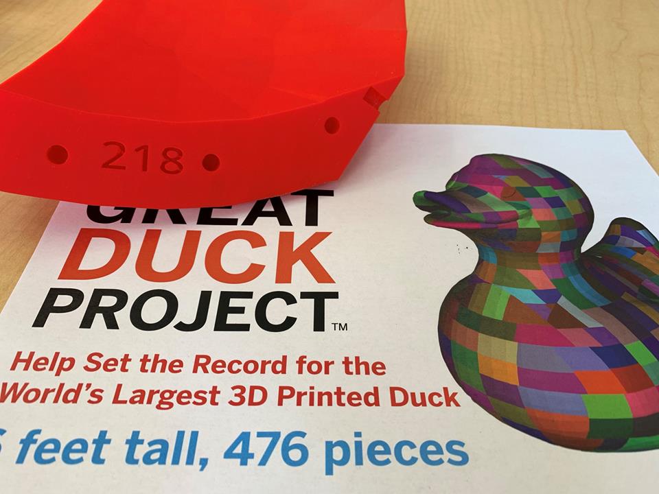 (image: The Great Duck Project)