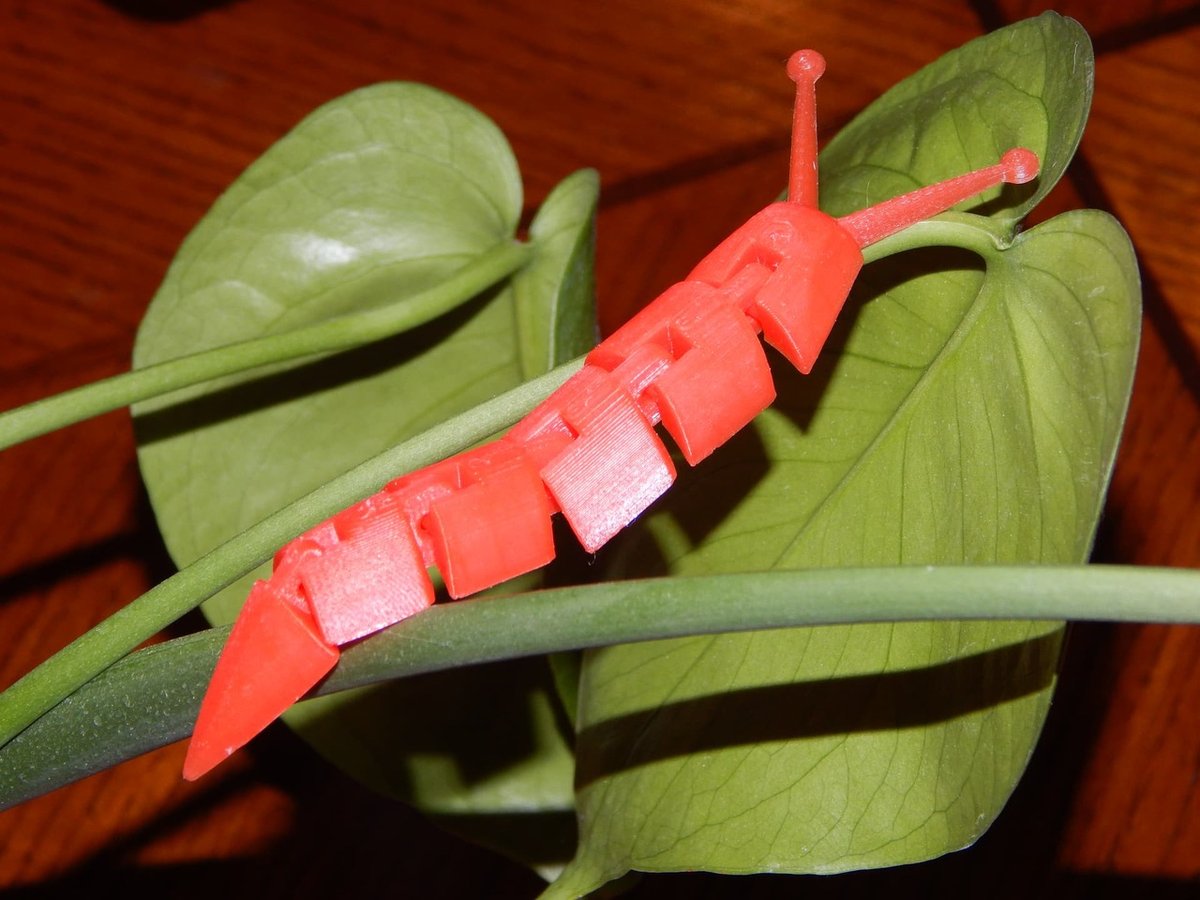 Our slug test print, exploring a houseplant.