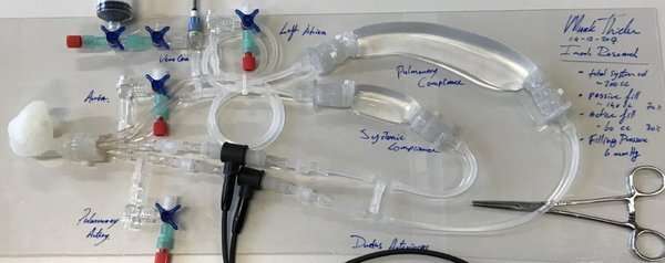 Resuscitation Training