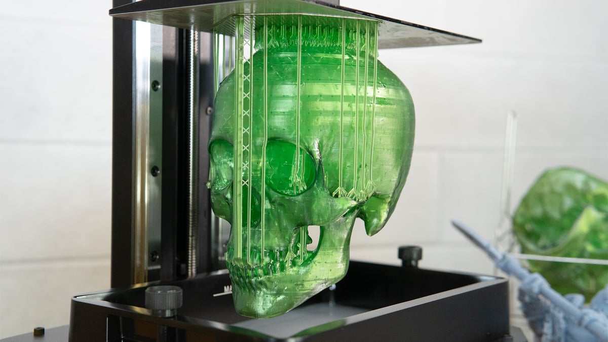 skull 3d print