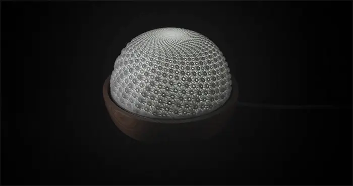 flux zoetrope
