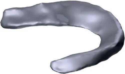 meniscus