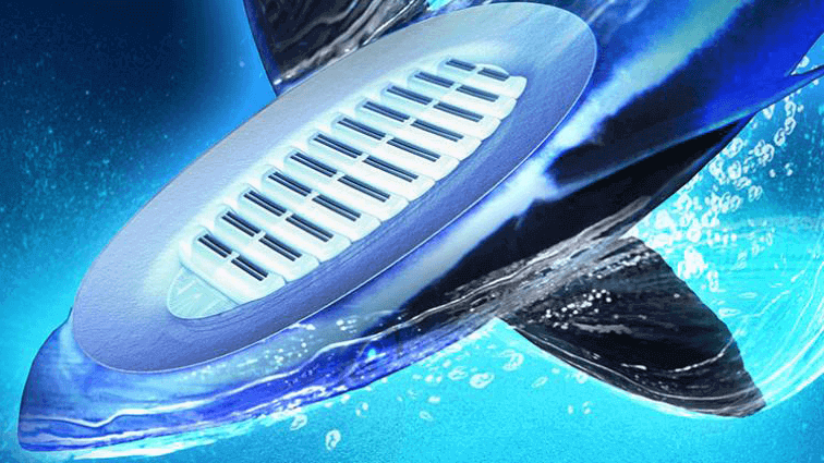 Featured image of Remora Fish-Inspired 3D Printed Robot Clings to Shark Skin Underwater