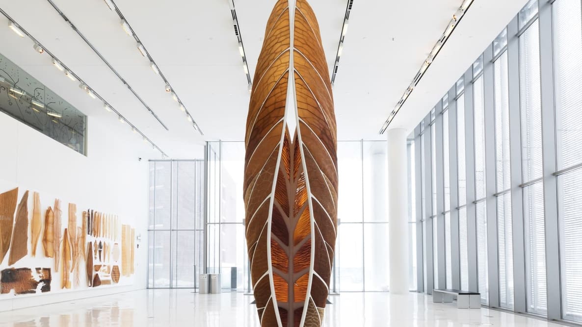 Featured image of Art meets Additive: Neri Oxman and Stratasys Create Beautiful Nature-inspired Objects