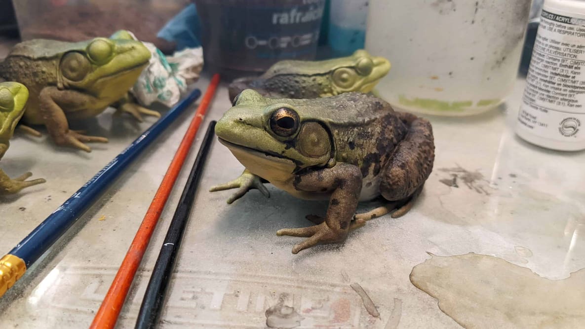 Featured image of This Redditor’s Wildlife Models are Museum-Quality – And You Can Buy Them