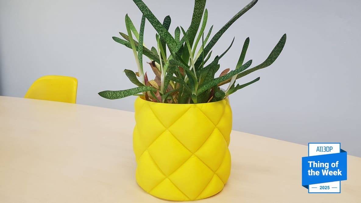 Imagem de destaque Surpreenda suas visitas com este vaso acolchoado para plantas