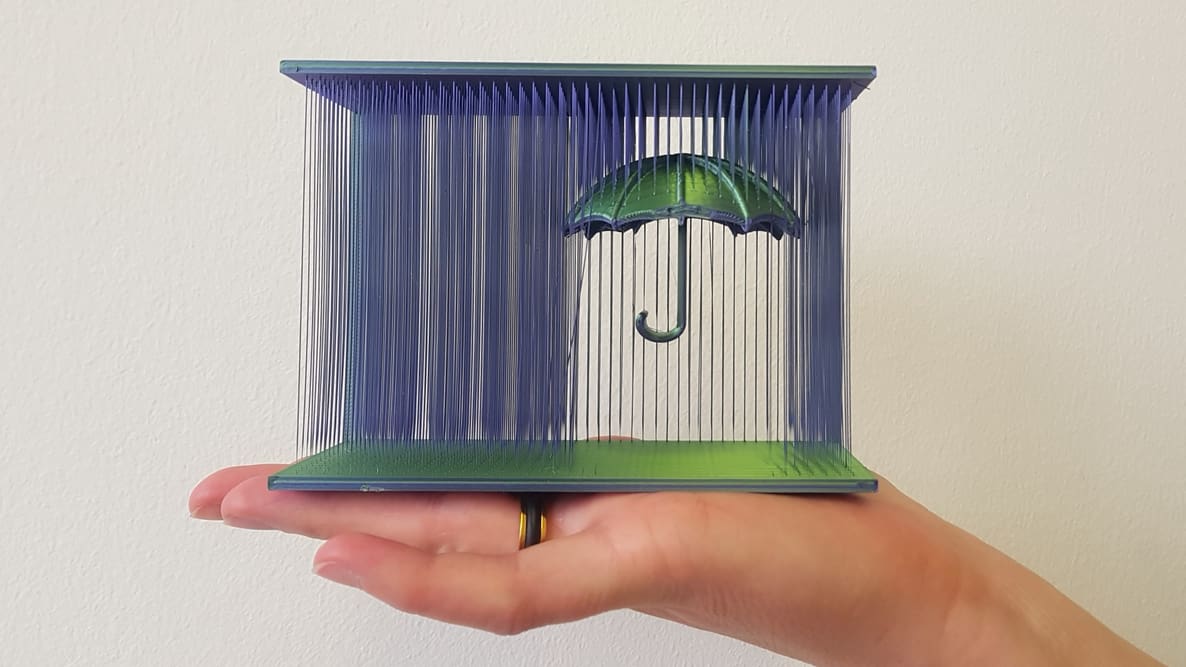 Featured image of Keep Your Prints Safe from the Dazzling Rain