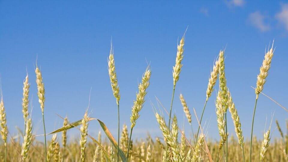 Featured image of Print with Straw