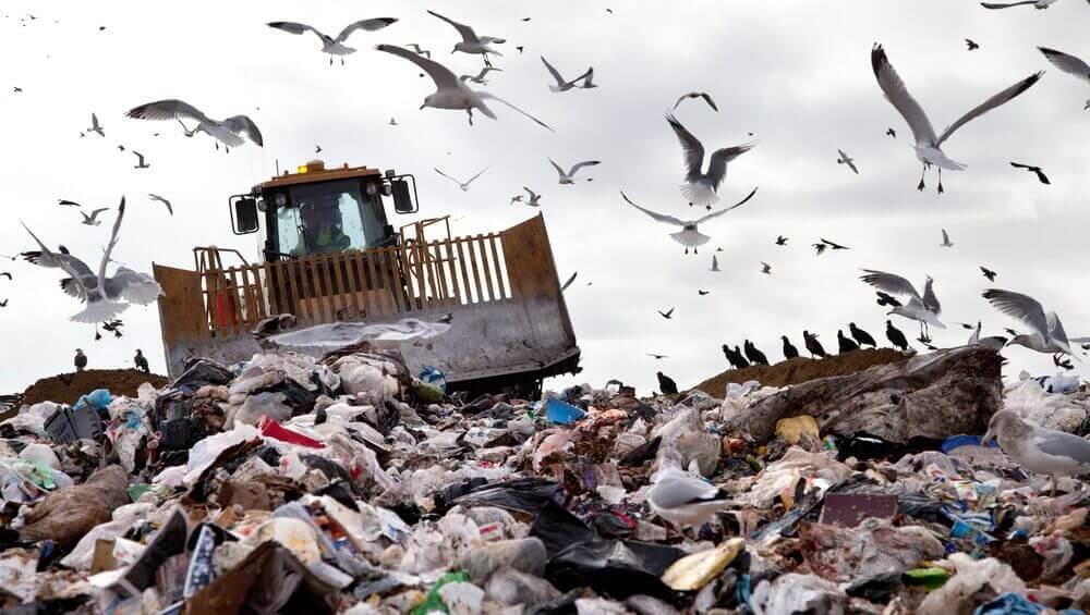 Featured image of Will 3D printing save our environment?