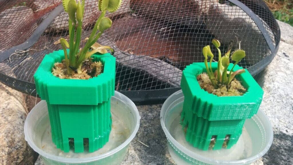 Featured image of Redditor 3D Prints Super Mario Flower Pot