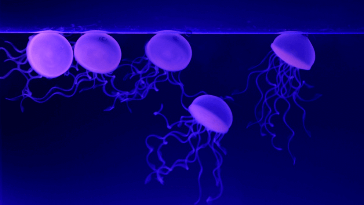 Featured image of Jelly-soft 3D Printing Made Possible by “Hand Sanitizer”