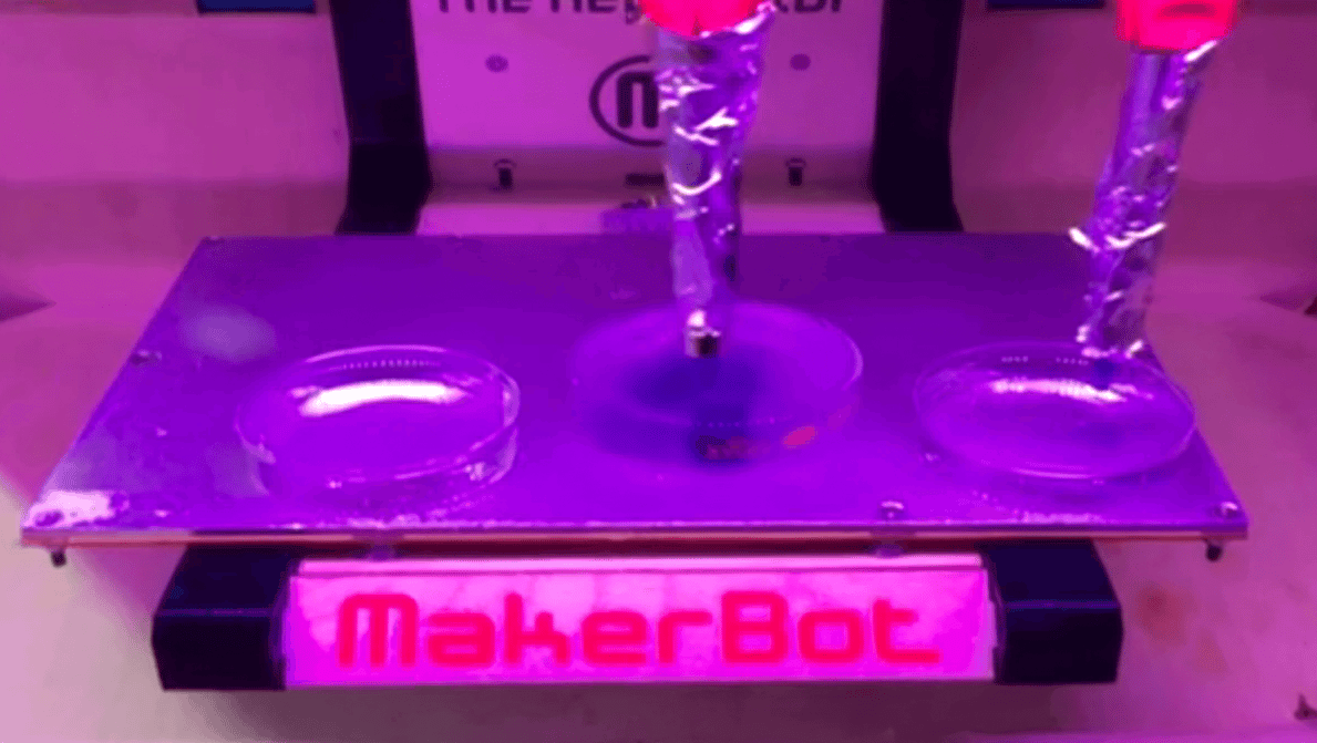 Featured image of Scientists 3D Print Human Tissue With a Hacked Makerbot