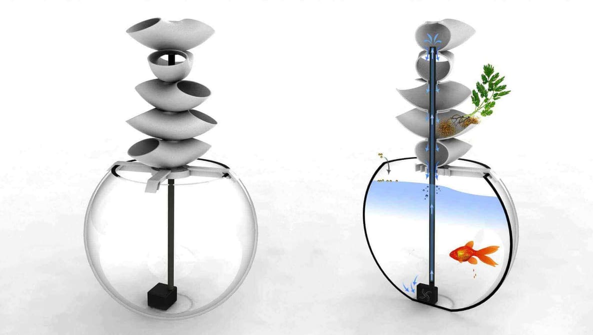 Featured image of Cascaqua is a 3D Printable Aquaponic For Fish and Plants