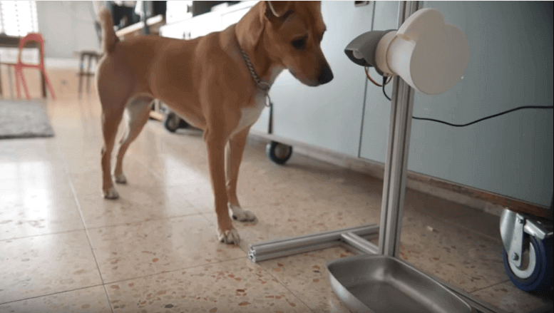Featured image of Pavlov’s Dog: PlayDog is a 3D Printed Game for Canines