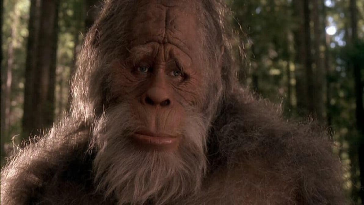 Featured image of Idaho State University 3D Prints the Skeleton of Bigfoot