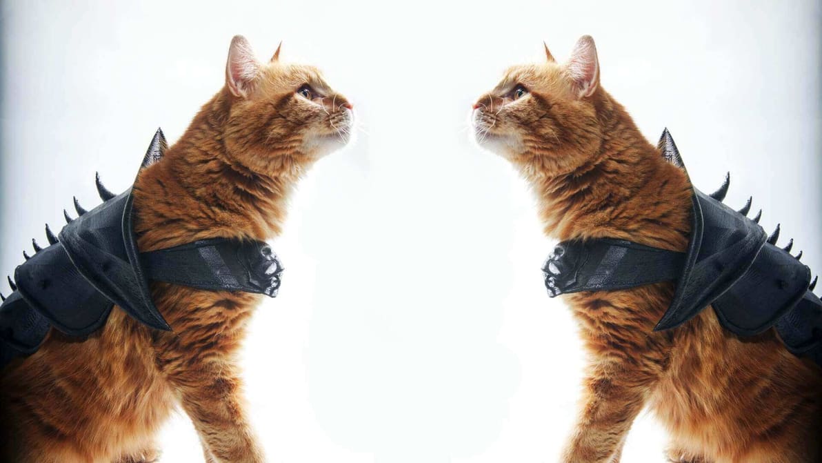Featured image of Dressed To Kill: 3D Printed Cat Armor