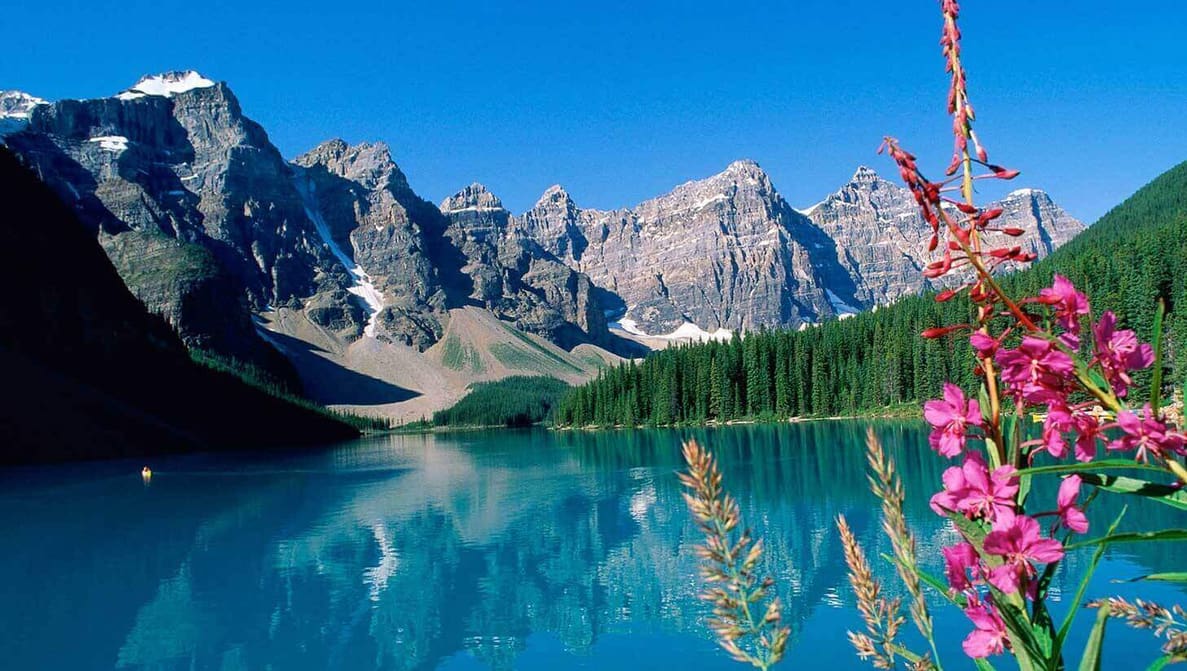 Featured image of Replicating the Canadian Rockies with a 3D Printer