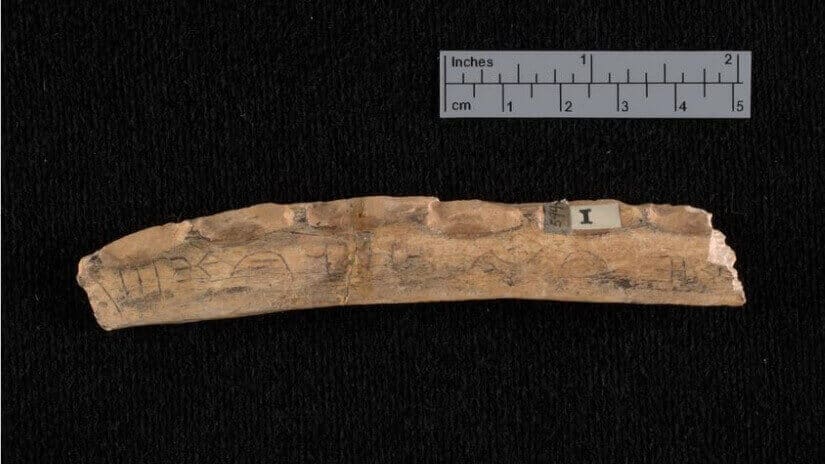 Featured image of Reviving Ancient China With 3D Printed “Oracle Bones”