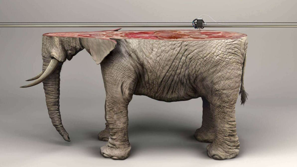 Featured image of IFAW Awareness Campaign 3D Prints Endangered Animals