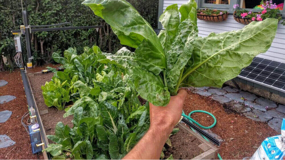 Featured image of Farmbot is Humanity’s First CNC Farming Machine