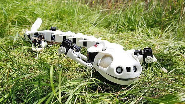 Featured image of Pleurobot is 3D Printed Robot that Walks & Swims like a Salamander