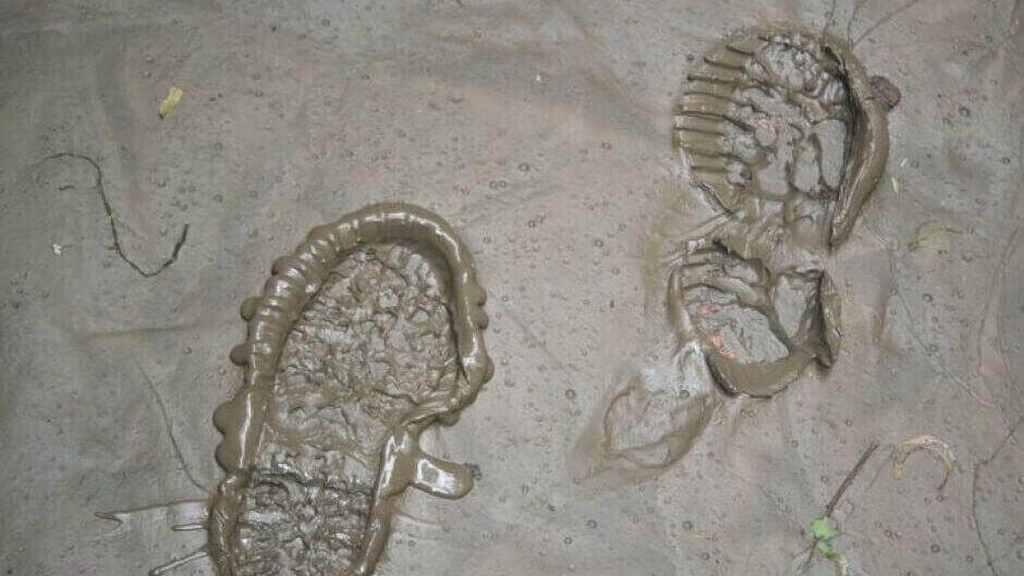 Featured image of 3D Forensics Capture Shoe Prints Instantly in Three Dimensions