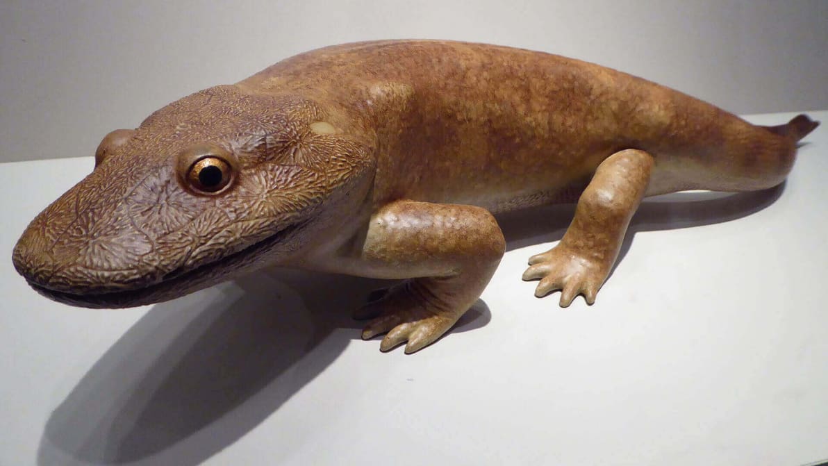 Featured image of 3D Scanning Reveals 350m Year Old Tetrapod Named Tiny